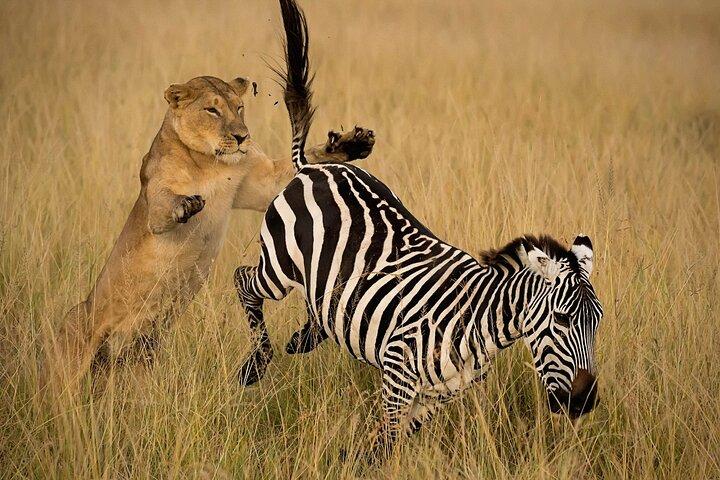 Unforgettable Safari Package with luxury experience