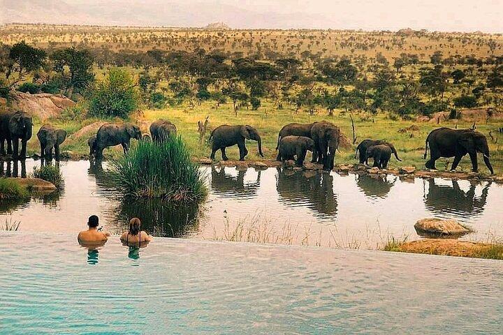 Unforgettable Safari Package with luxury experience