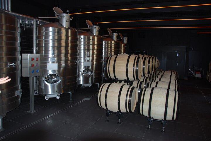 Private Guided Tour in Champagne from Paris with Moet&Chandon visit.