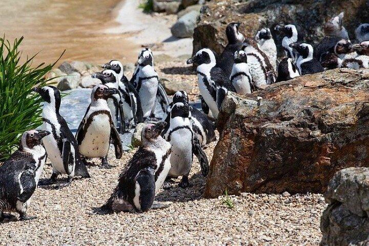 Cape Agulhas Full Day Private Tour From Cape Town