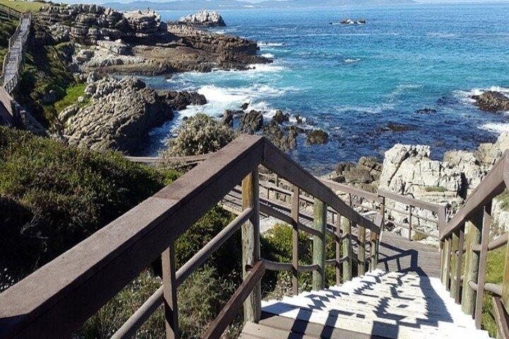 Cape Agulhas Full Day Private Tour From Cape Town