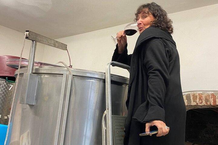 Tasting in a Tuscan Vineyard with transfer from Lucca
