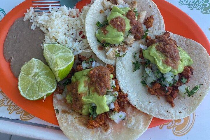 Cabo City Tour, Tequila Tasting, Snorkeling Cruise and Lunch
