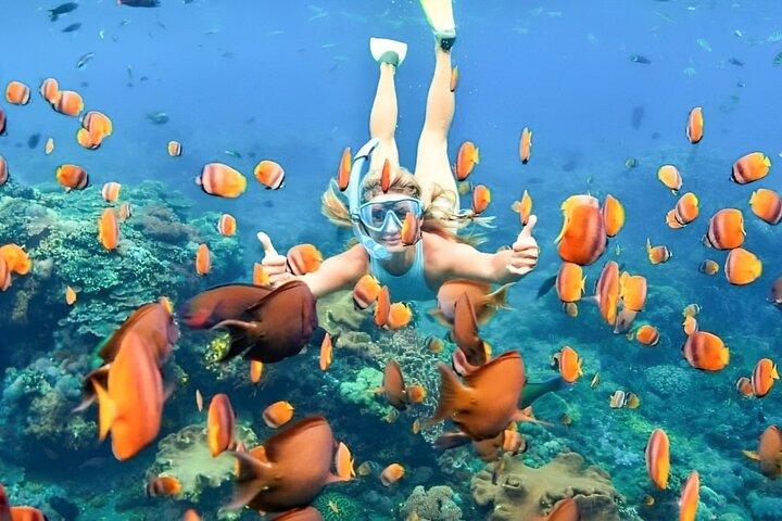 Bali Snorkeling Tour at Blue Lagoon Beach - All-Inclusive