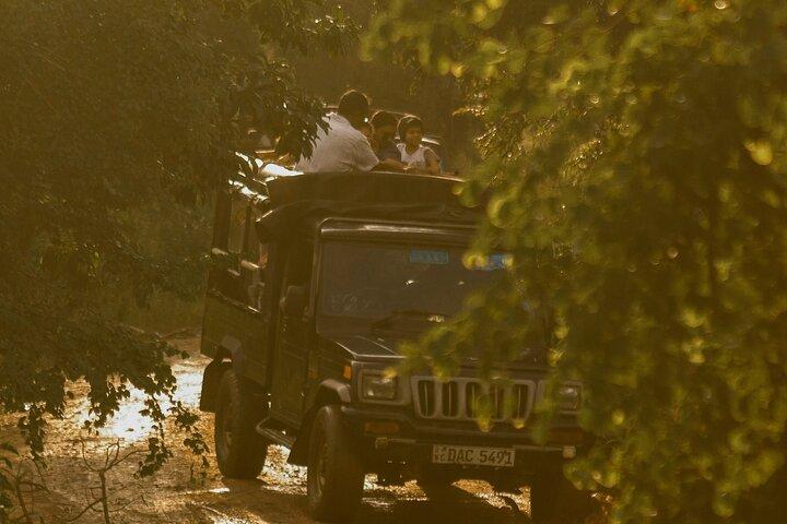 2 Day Tour to Minneriya & Wilpattu National Park From Colombo