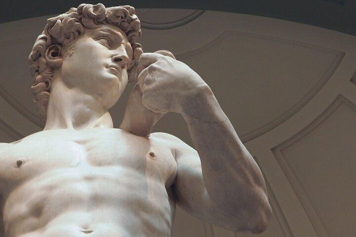 David & Accademia Guided Tour with Timed Entry Ticket