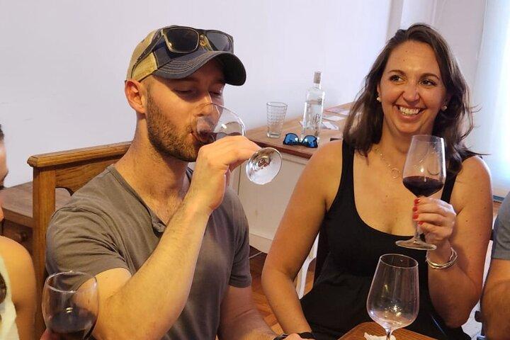 BA: Premium Argentinian Wines and Malbec Tasting in Palermo