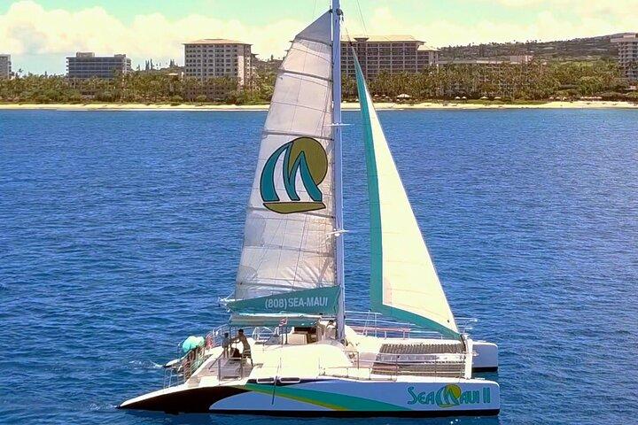 Maui: Whale Watching Cruise with Open Bar from Ka'anapali Beach