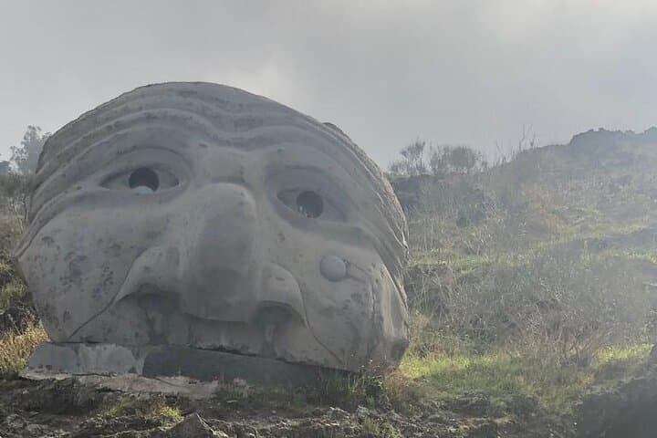 Private and Guided day in Pompeii and Vesuvius from Naples