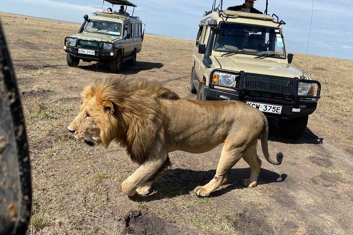 3 Days Masai Mara Jeep Safari