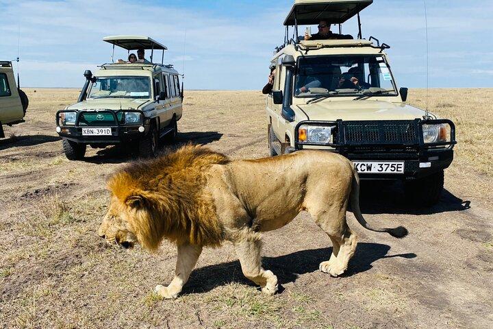 3 Days Masai Mara Jeep Safari
