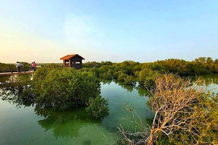 North of Qatar Tour|Zubara Fort, Purple Island & Mangroves Colony