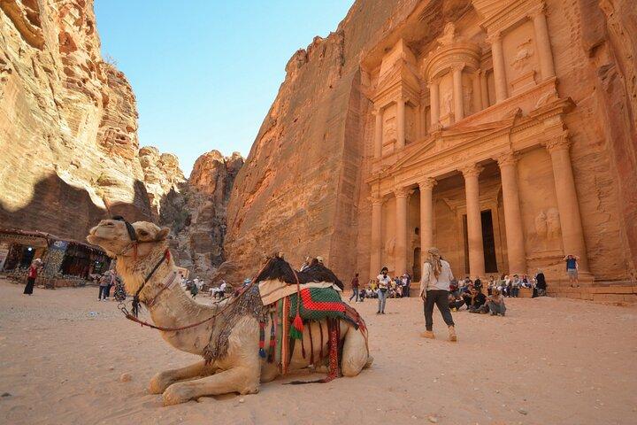 Petra & Dead Sea - One day Private tour