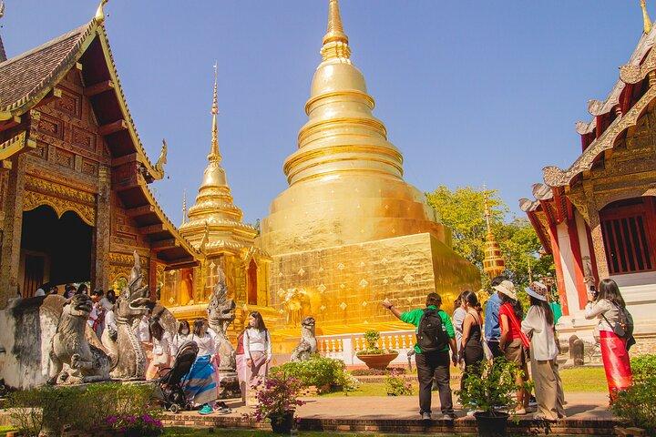Chiang Mai Old City & Temples Guided Walking Tour - 3 Hrs