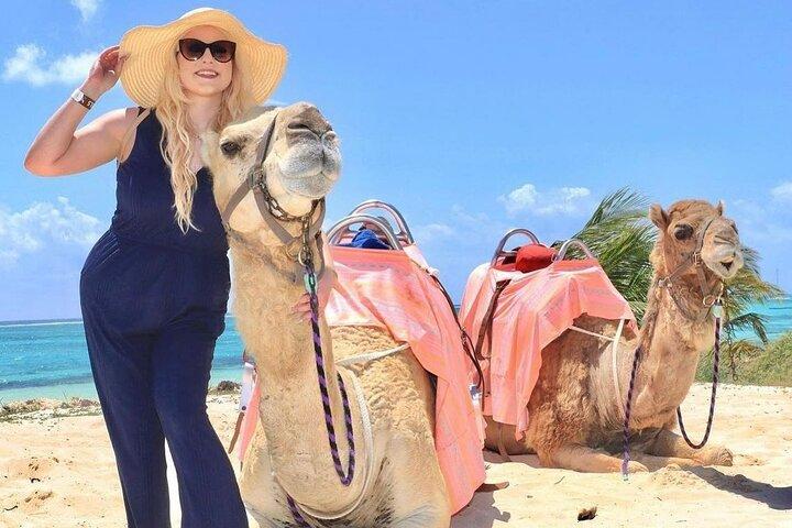 Camel Expedition and Beach Club In Riviera Maya