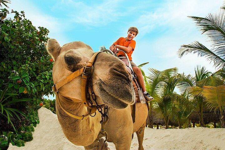 Camel Expedition and Beach Club In Riviera Maya