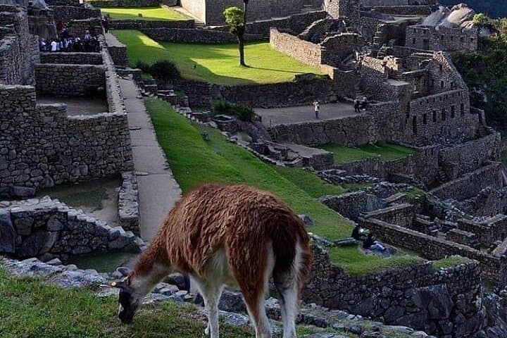 Machu Picchu by Car 3-Day 2-Night Including Huayna Picchu