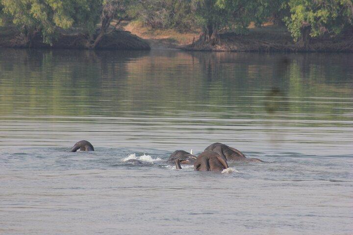 Full-Day Chobe Trip Botswana