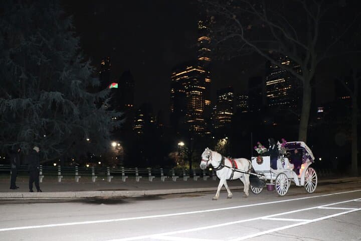 NYC Central Park Horse Carriage Ride (Up to 4 Adults)