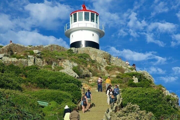 Cape Point Full Day Tour