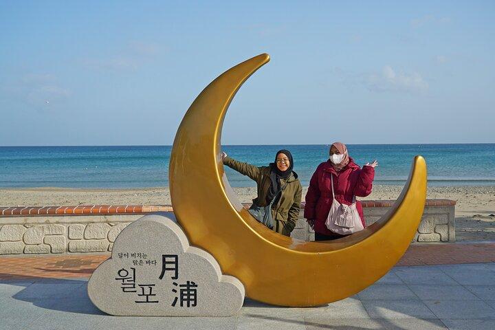 Pohang One day city Tour : Home town Cha cha cha Drama Locations