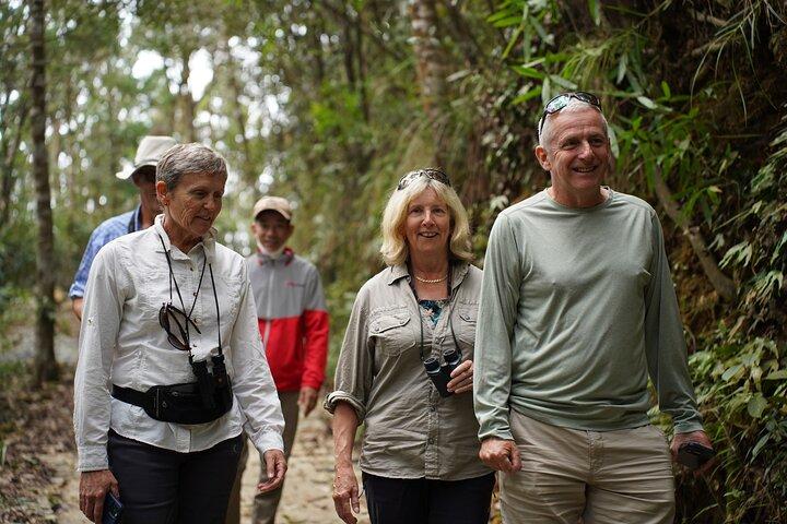 Bach Ma National Park trekking daily tour from Da Nang, Hoi An