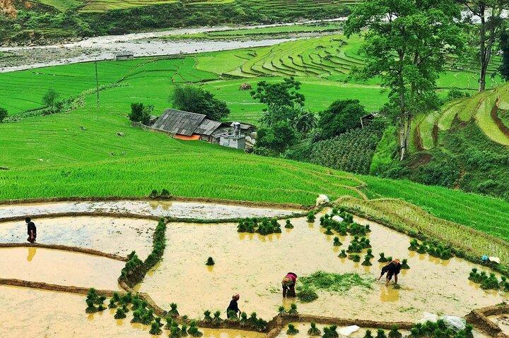 Sapa Trekking 2 Days 1 Night Transfer By Sleeper Bus