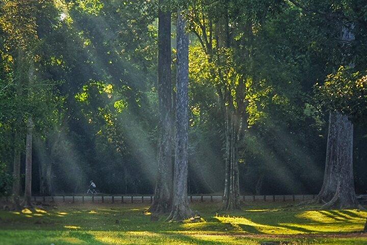 Private Sunrise and Sunset Angkor Park Tour with Rest Mid-Day