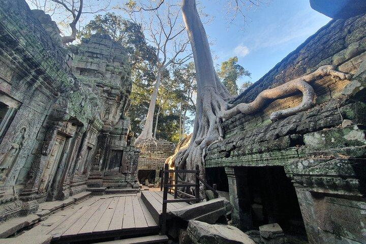Private Sunrise and Sunset Angkor Park Tour with Rest Mid-Day