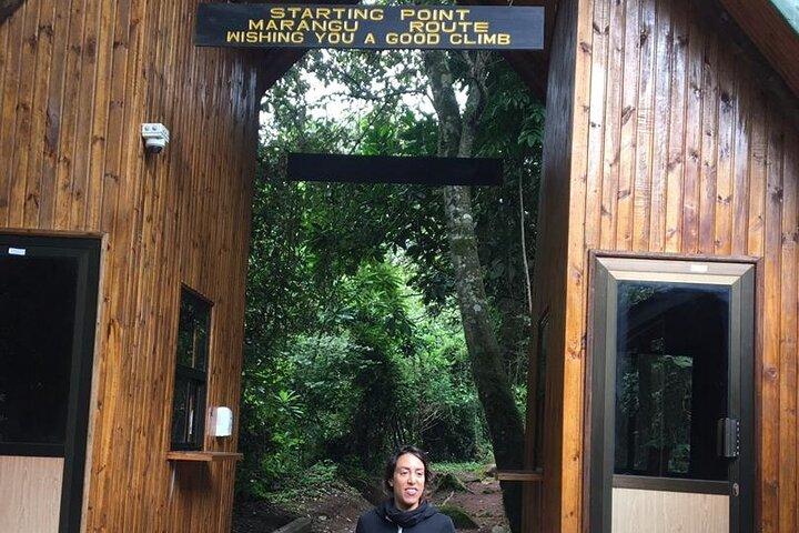 6 Days Climb Kilimanjaro via Marangu Route Private Guided Tour