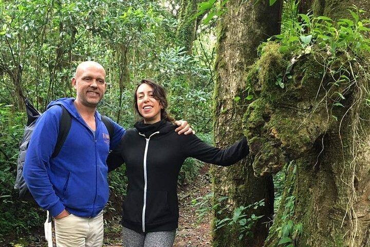 6 Days Climb Kilimanjaro via Marangu Route Private Guided Tour