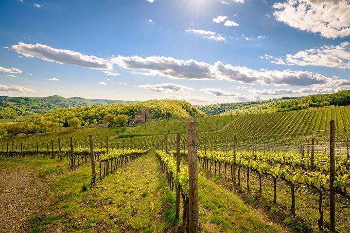 Private Chianti Classico Wine Tasting Tour in Two Family Wineries