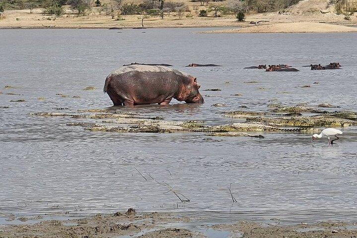 4 Days Private Tarangire, Serengeti and Ngorongoro Crater Tour