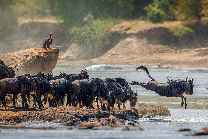 4 Days Private Tarangire, Serengeti and Ngorongoro Crater Tour