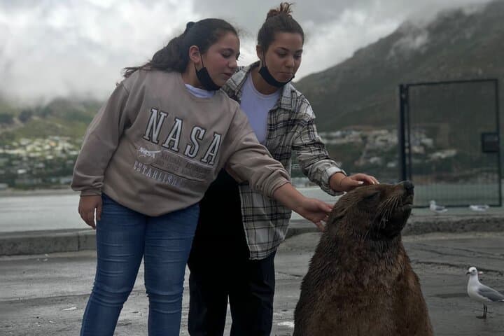 FULL Day Cape Point and Boulders Penguin Colony