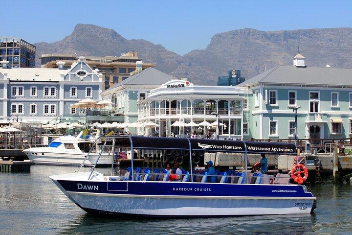 30 Minute Harbour Cruise in Cape town