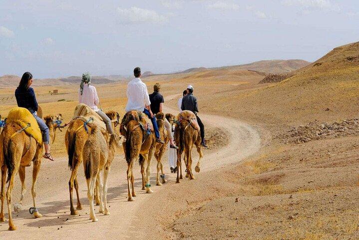 Agafay Desert Pack FULL : QUAD & CAMELS RIDE and Dinner AGAFAY