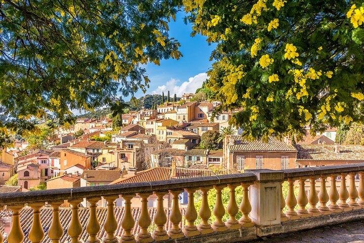 Florence Old Town and Top Attractions Private Walking Tour