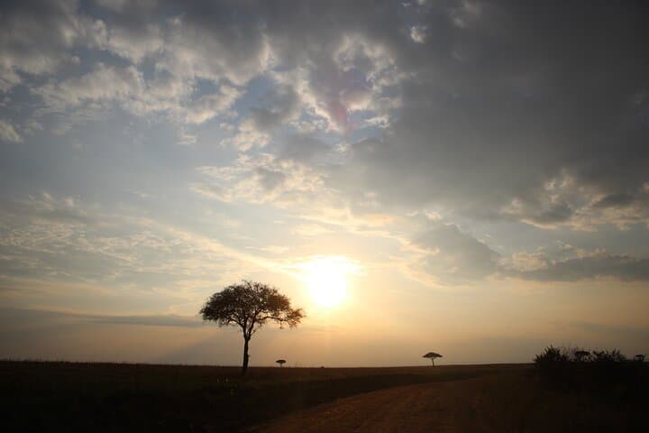 Full-Day Private Tour Nairobi National Park and Giraffe Center
