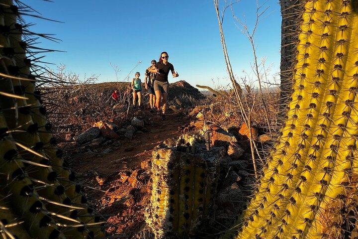 Hiking Todos Santos at Sunset
