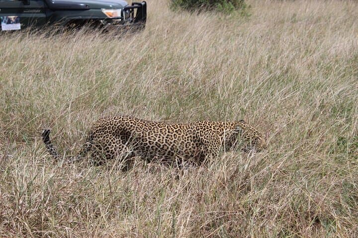 5-Day Private Tour in Kenya's Best Game Parks