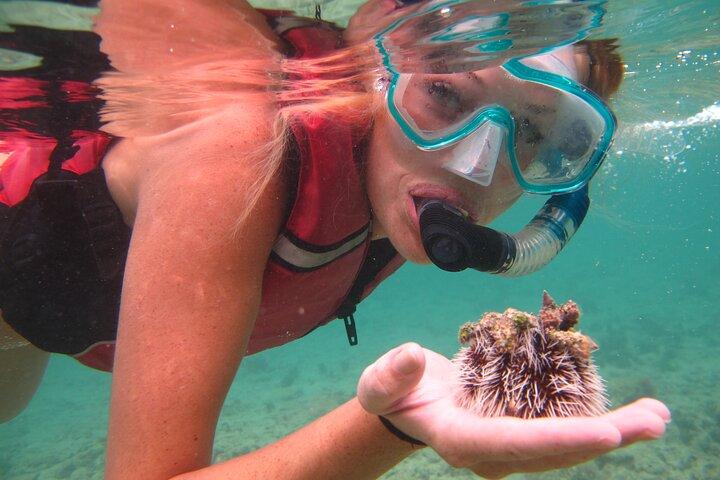 St Thomas Mangrove Lagoon Kayak and Snorkel Tour in the US Virgin Islands