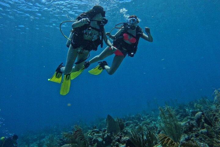Private Diving Experience for Beginners in San Andres Islands