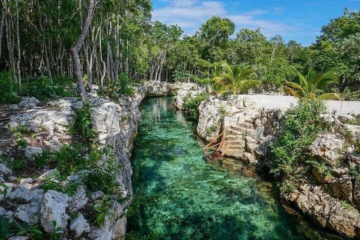Tulum Ruins visit cenotes house turtle and Sculpture Come to Light