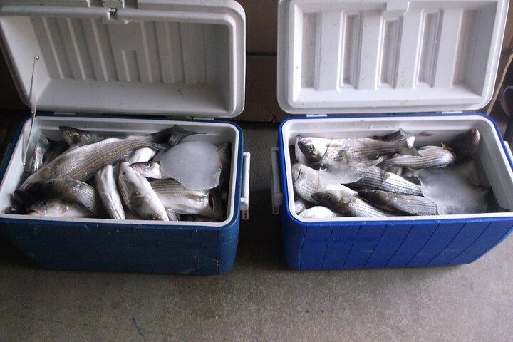 Lake Mead Striped Bass Fishing Getaway