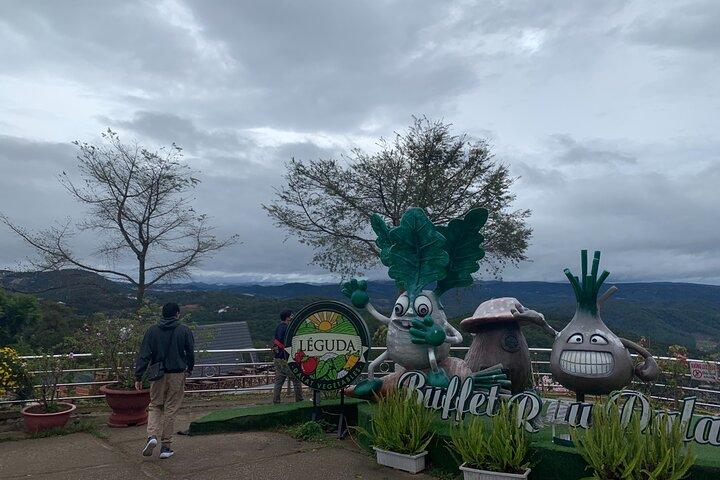 2 days VIP Special Tour - Exploring Dalat City, countryside and waterfalls
