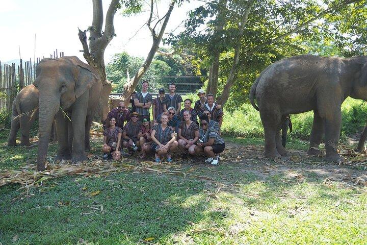 Chiang Mai Elephant Sanctuary Small Group Ethical Tour