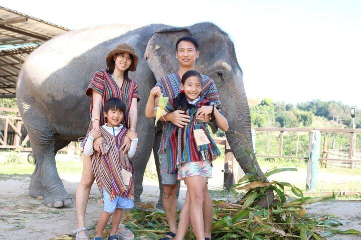Chiang Mai Elephant Sanctuary Small Group Ethical Tour