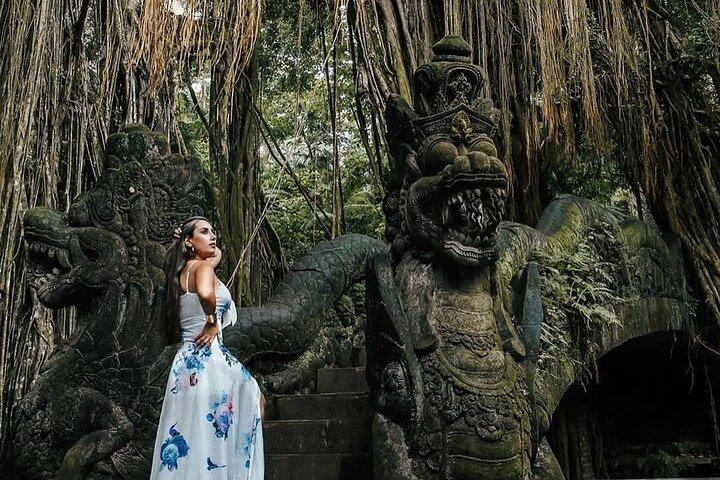 Ubud Monkey Forest, Holy Water Temple & Waterfalls Tours