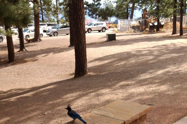 Bryce Canyon E-bike Tour